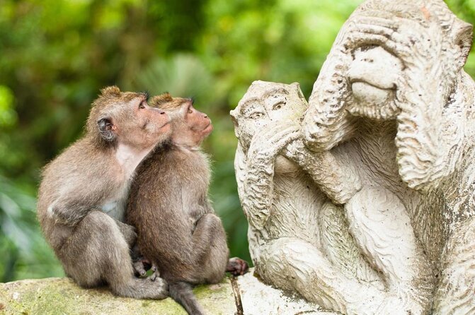 Private Full Day Tour to Ubud Highlights with Giant Swing - Key Points Before You Book