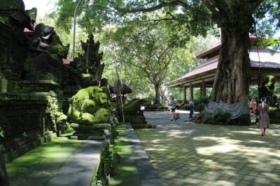Private Full Day Tour to Ubud Highlights with Giant Swing