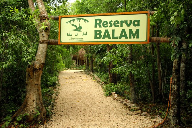 Private Jungle Adventure tour: Zipline + Rappel + Cenote - Swimming and snorkeling in clear water