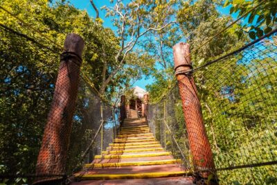 Private Jungle Adventure tour: Zipline + Rappel + Cenote