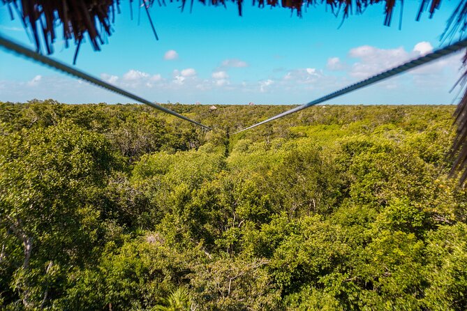 Private Jungle Adventure tour: Zipline + Rappel + Cenote - The people guiding the experience