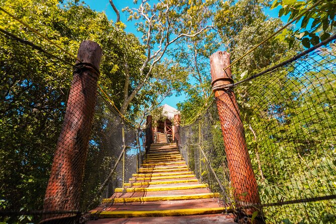 Private Jungle Adventure tour: Zipline + Rappel + Cenote - Rappelling into the cenote