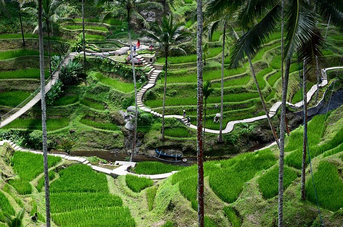 Private Tour : East Bali Highlights with Giant Swing - Lunch from 12:45 to 2:00