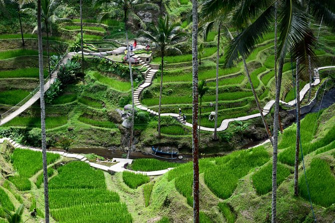 Private Tour : East Bali Highlights with Giant Swing - How much the $35 price really covers