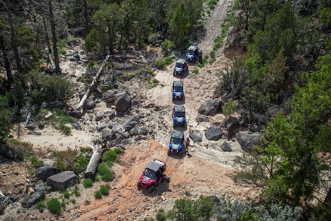 Private UTV Hell's Hole & Velvet Ridge Combo Tour - Why the Private Format Matters