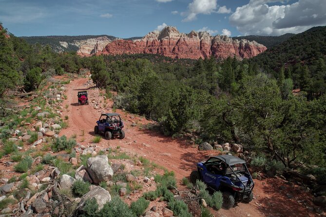 Private UTV Hell's Hole & Velvet Ridge Combo Tour - Who Will Enjoy This UTV Tour Most