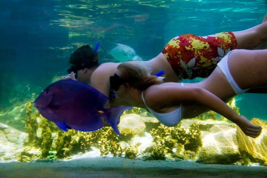 Puerto Plata: Ocean World Adventure Park Day Pass - What your 8.5-hour Ocean World day looks like