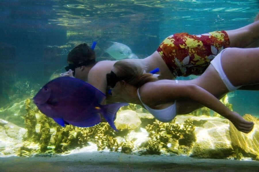 Puerto Plata: Ocean World Adventure Park Day Pass - Lunch and time at Dolphin Beach