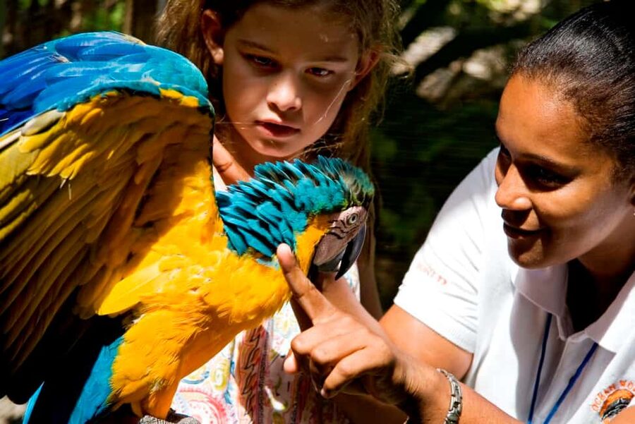 Puerto Plata: Ocean World Adventure Park Day Pass - Should you book this Ocean World day pass?