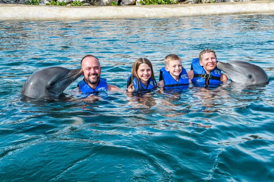 Puerto Plata: Ocean World Adventure Park Swim with Dolphins - The lagoon ride has more appeal than a simple photo stop