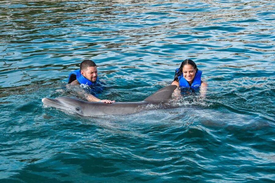 Puerto Plata: Ocean World Adventure Park Swim with Dolphins - Tropical reef snorkeling is a calmer second activity