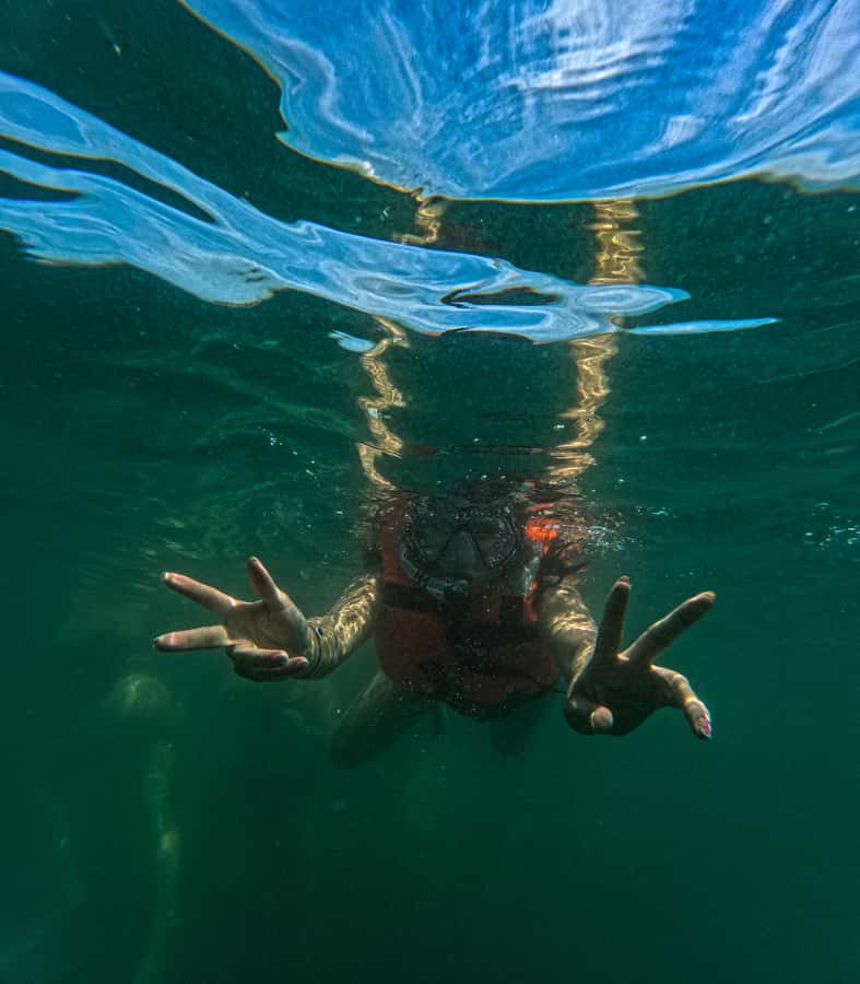 Puerto Vallarta: Hidden Beaches & Adventure Park - Las Ánimas Adventure Park and its 20 activities