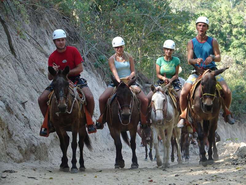 Puerto Vallarta: Outdoor Ziplines and Rappel Adventure - From Puerto Vallarta’s Coast to the Sierra Madre