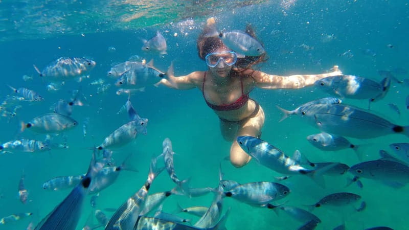 Pula: Cave Kayak, Snorkeling, Cliff Jumping All-in-one Tour - Group size, guides, and safety