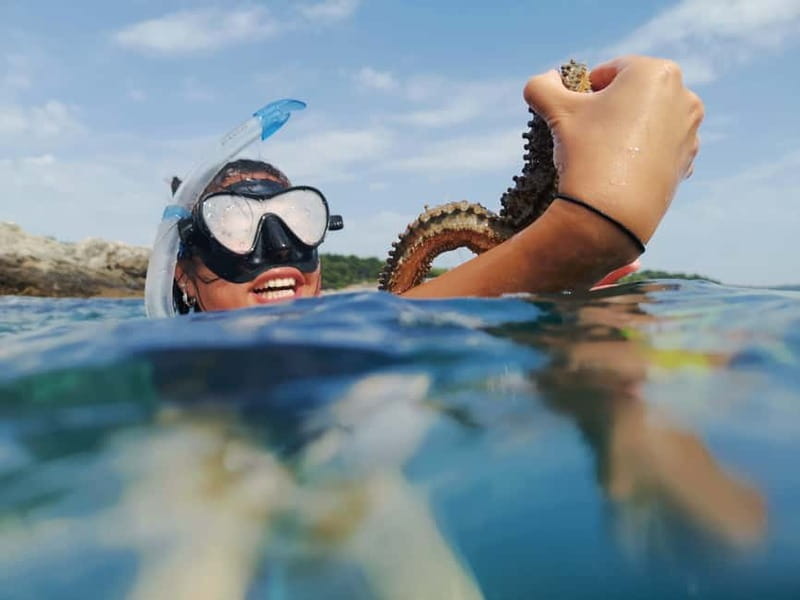 Pula: Sea Adventure – Boat, Kayak, Snorkeling & Cliff Jumps - Key points to know before you book