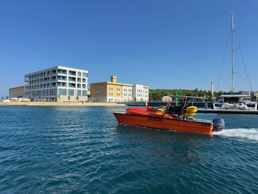 Pula: Sea Adventure – Boat, Kayak, Snorkeling & Cliff Jumps - Birds, dolphins, and the coast’s small details