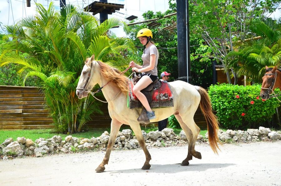 Punta Cana: Bávaro Adventure Park Horse Riding & Waterfalls - How the value compares with other Punta Cana outings