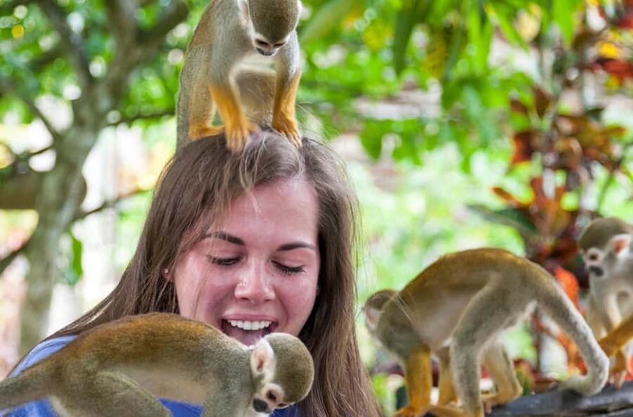 Punta Cana: Triple Jungle Adventure Park Tour with Tastings - Who will enjoy this Punta Cana tour most