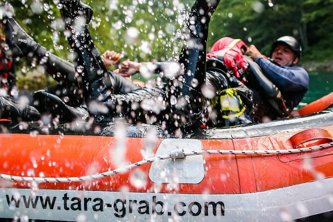 Rafting Adrenalin 7km - Lunch beside the Tara
