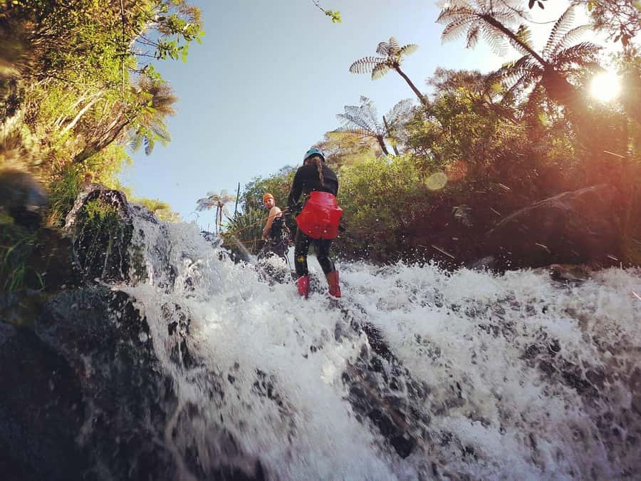 Raglan: Karioi Canyoning - Key points to know before you book
