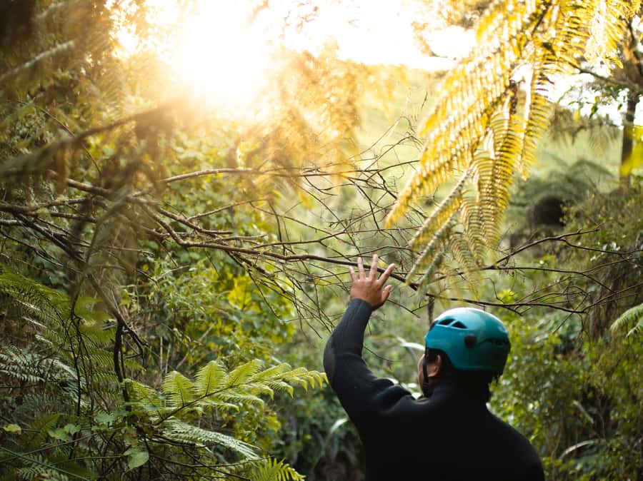 Raglan: Karioi Canyoning - Two and a half hours of rock, water, and ropes