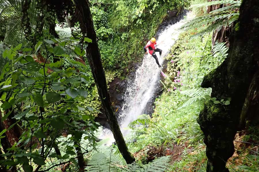 Raglan: Karioi Canyoning - From Raglan Rock to the stream