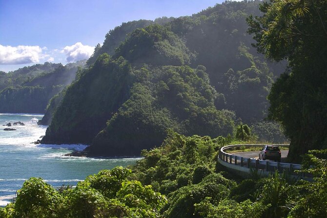 Rappel Maui Waterfalls and Rainforest Cliffs - Quick takeaways for planning