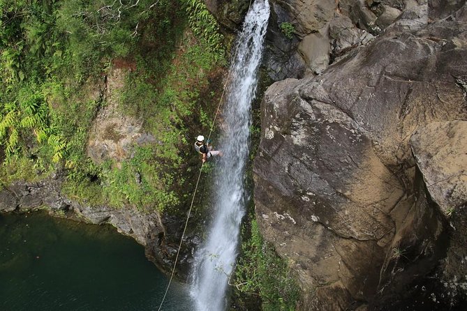Rappel Maui Waterfalls and Rainforest Cliffs - The real attraction: waterfalls from the rope