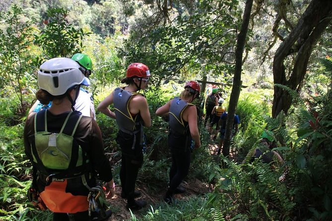 Rappel Maui Waterfalls and Rainforest Cliffs - Weather changes the route, not always the day