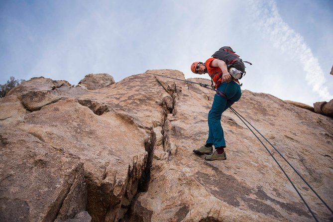 Rappelling Adventure in Joshua Tree National Park (4 Hours) - What the guides do well