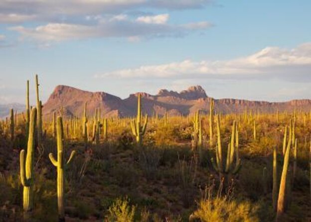 Rappelling Adventure in Scottsdale - Key things to know before you book