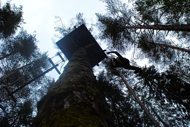 Rappelling and Climbing Adventure in Lamas de Mouro - Testing your strength on the 9-meter wall