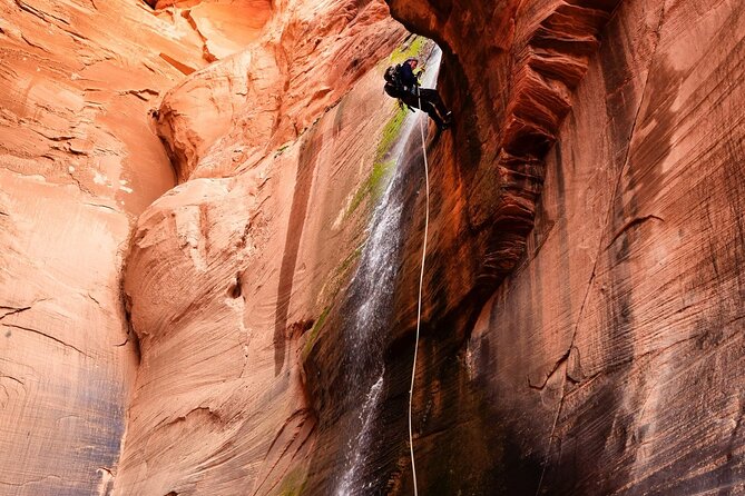 Rock and Roll Rappelling in Rock Canyon - A UTV ride into East Zion before the ropes come out