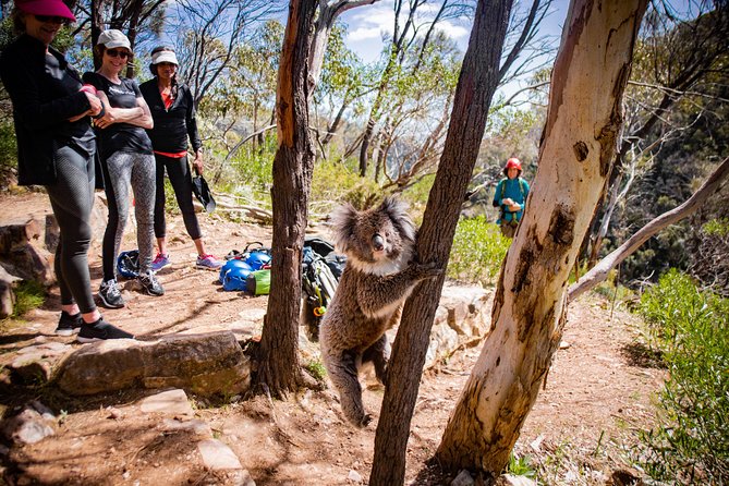 Rock Climbing and Abseiling in Adelaide - Your first lesson: equipment and safety