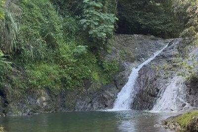 Salto de Pilar Cliff Jumping Tour
