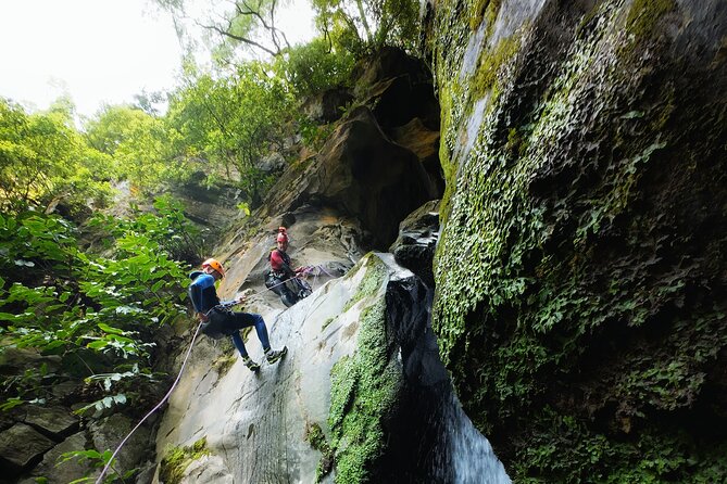 San Miguel : Level 2 Canyoning in Salto do Cabrito, Azores - Key points at a glance