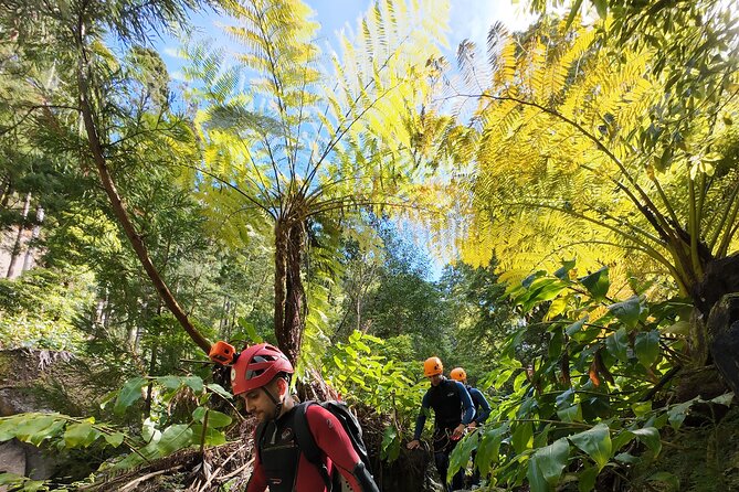 San Miguel : Level 2 Canyoning in Salto do Cabrito, Azores - Practical advice before you book