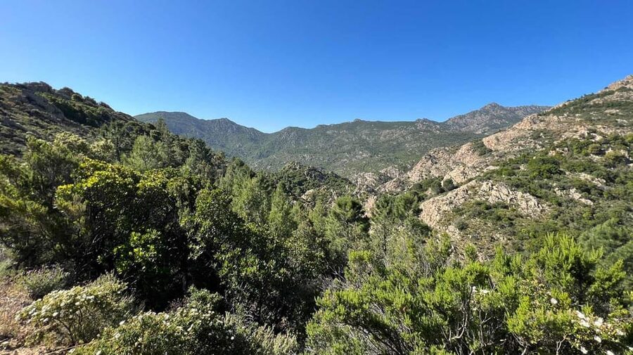 San Teodoro: Canyoning in Rio Pitrisconi with 4X4 transfer - The guide, safety, and the 4x4 return