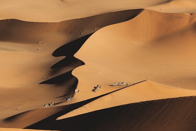 Sanding Ball in Merzouga: Experience the sand dunes on a zorbing activity - Price and What You Receive for $52.86
