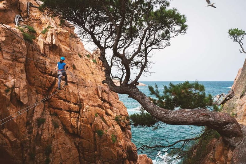Sant Feliu de Guíxols: Guided tour of the Cala del Molí Via Ferrata - Meeting Near the Start of the Route