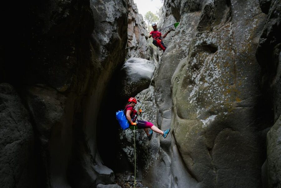 Santa Cruz de Tenerife: Vilaflor Canyoning Tour - The 35-minute walk back through Canary pines