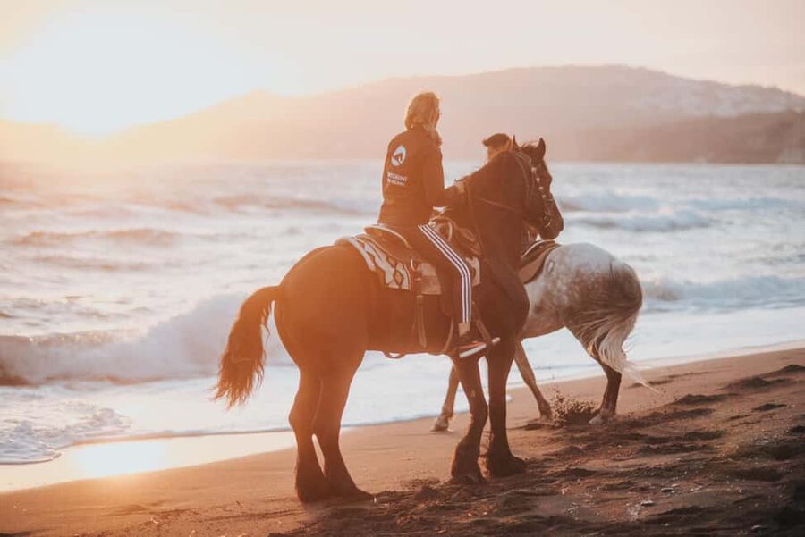 Santorini: Extreme Horse Safari with Beach Gallop - Eros Beach and the black-sand gallop