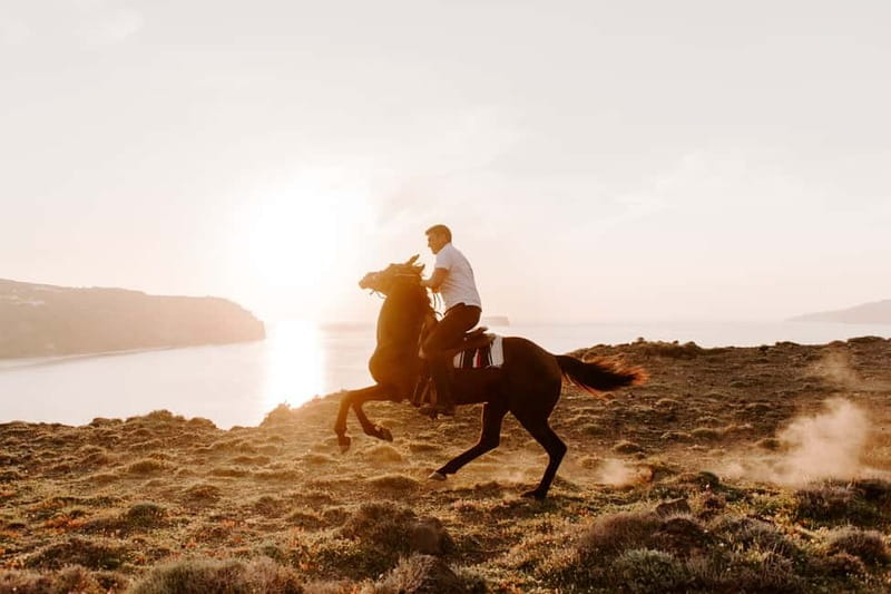 Santorini: Extreme Horse Safari with Beach Gallop - Who should book this ride
