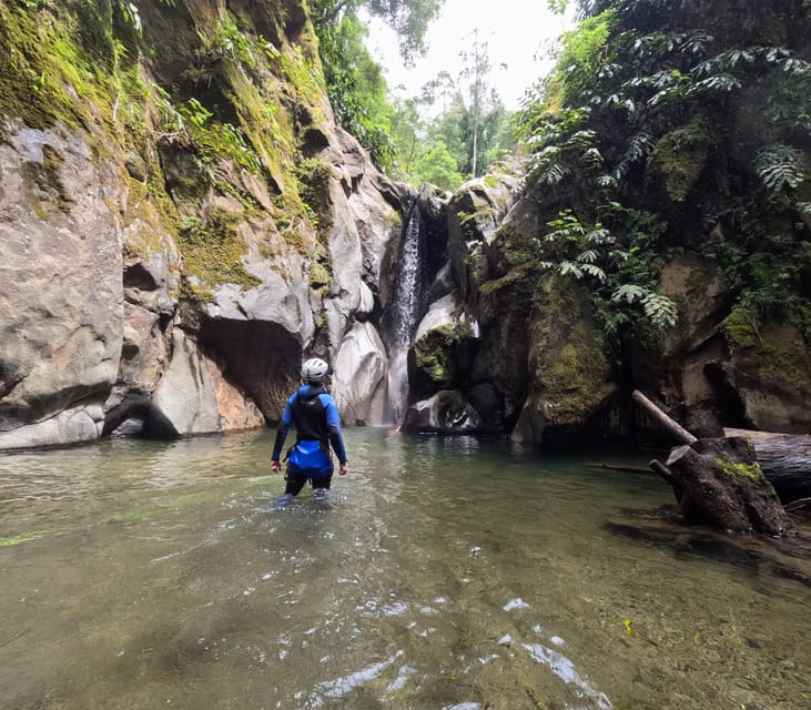 São Miguel: AdventurePark Canyoning Salto do Cabrito, Azores - Warm water, rainforest, and a new angle on São Miguel