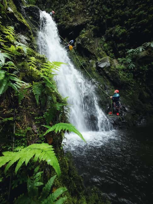São Miguel: Level 1 Canyoning in Ribeira dos Caldeirões - Key points to know before you book