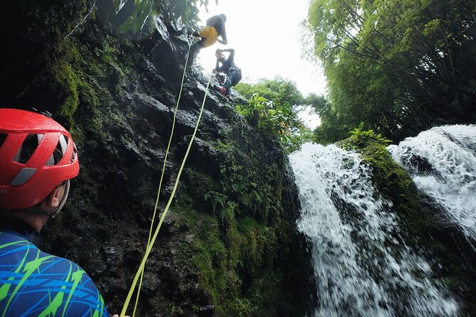 São Miguel : Level 1 Canyoning in Ribeira dos Caldeirões, Azores - What the $84.21 price really covers