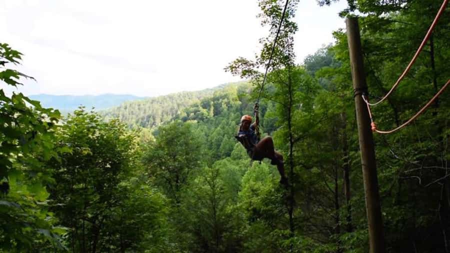 Sevierville: Extreme Mountain Zip Lining Adventure - Five Lines, One Big Mountain Rush