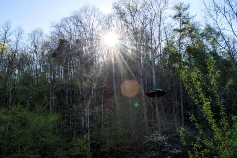 Sevierville: Extreme Mountain Zip Lining Adventure - The Views Are Part of the Ticket