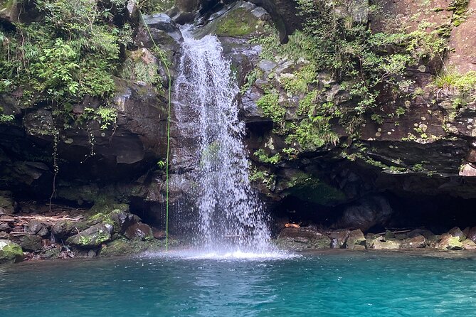 Shizuoka: Advanced Canyoning Activity near Mt. Fuji - Why the small group matters