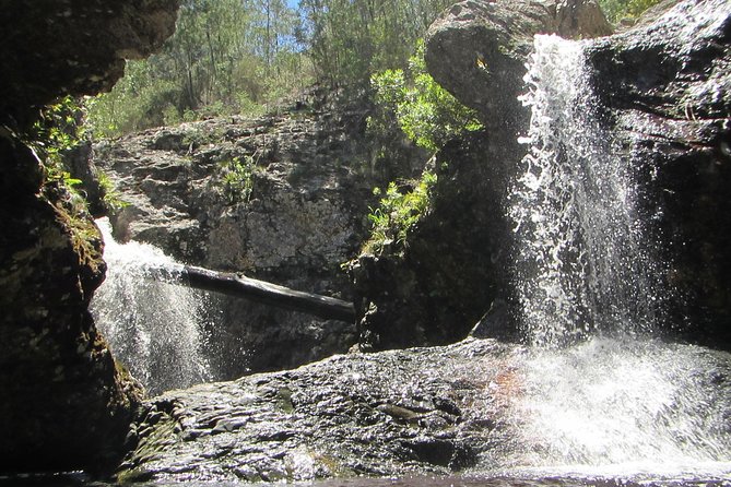 Short Canyoning Trip in The Crags - Key points to know before booking